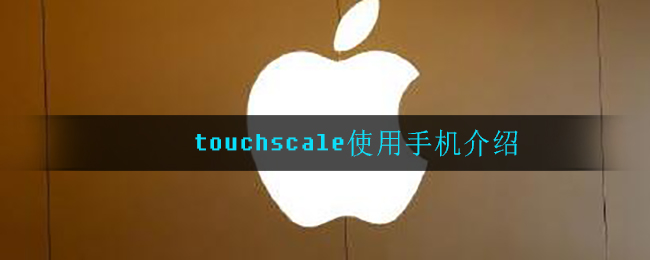 touchscale使用手机介绍
