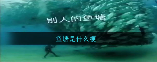 魚塘是什麼梗_魚塘什麼意思網絡用語_3dm手遊