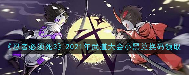 《忍者必须死3》2021年武道大会小黑兑换码领取