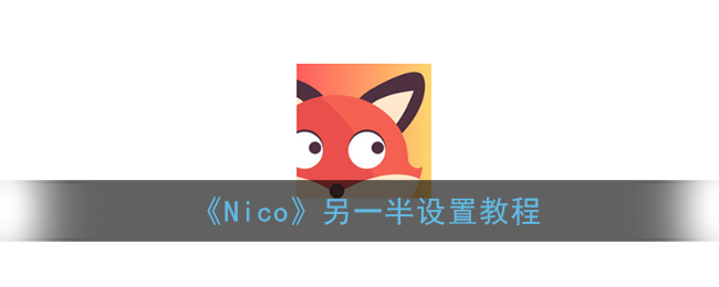 《Nico》另一半设置教程