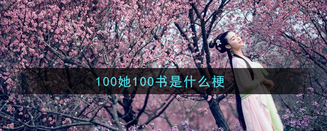 100她100书是什么梗