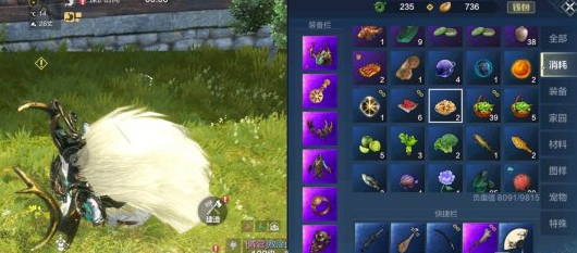 妄想山海长生油果在哪