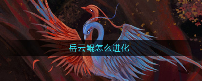 岳云鲲进化之路揭秘