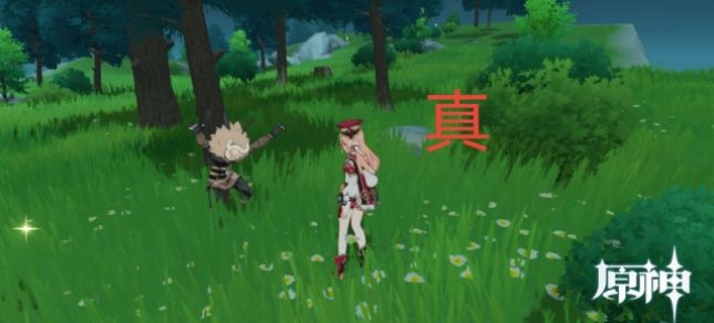 《原神》呆呆的丘丘人的委托任务完成攻略