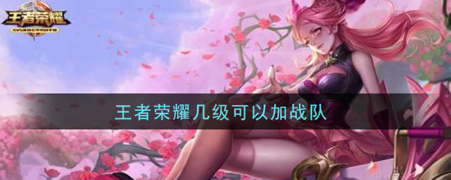 王者荣耀几级可以加战队