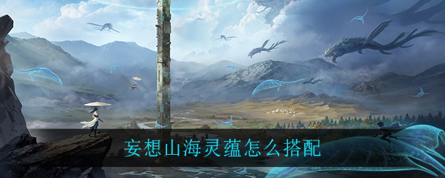 妄想山海灵蕴搭配攻略