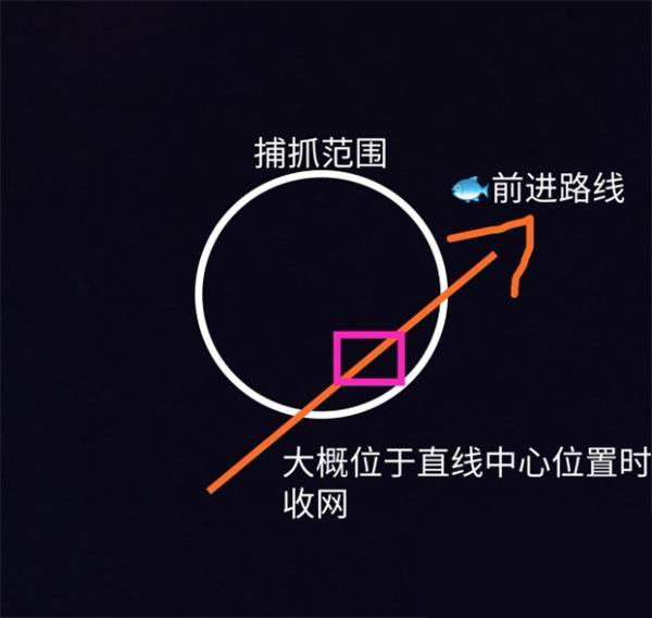 《摩尔庄园》钓鱼玄学技巧介绍