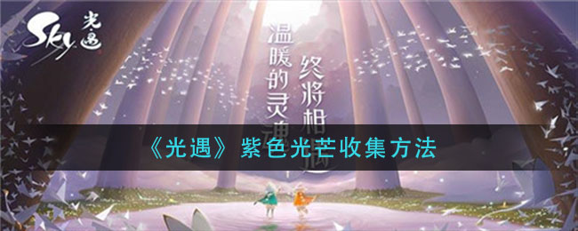 《光遇》紫色光芒收集方法