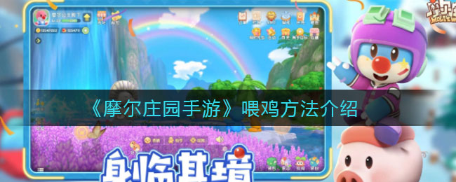 《摩尔庄园手游》喂鸡方法介绍