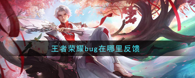 王者荣耀bug在哪里反馈