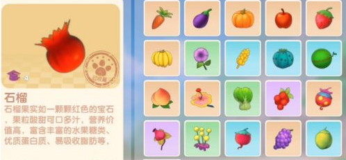 《摩尔庄园手游》石榴作用介绍