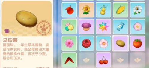 《摩尔庄园手游》植物作用介绍