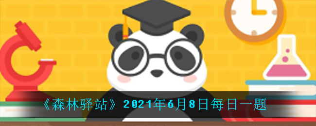 《森林驿站》2021年6月8日每日一题