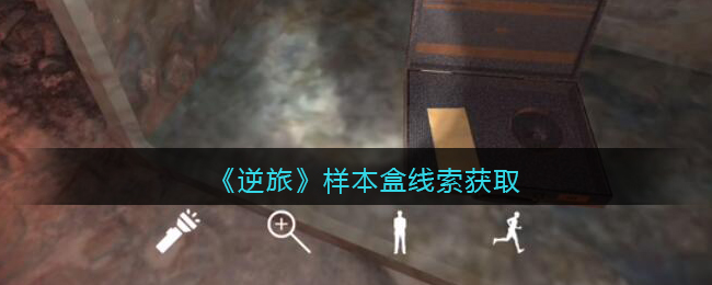《孙美琪疑案：逆旅》三级线索——样本盒