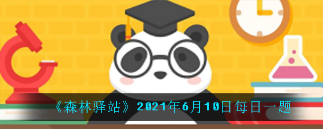 《森林驿站》2021年6月10日每日一题