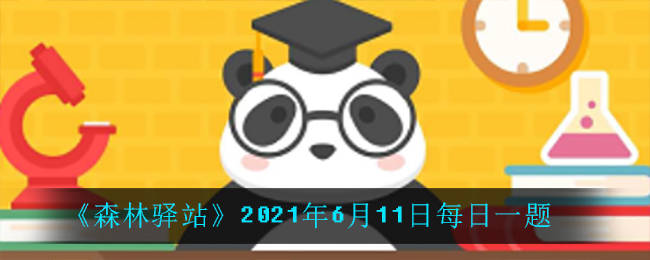 《森林驿站》2021年6月11日每日一题