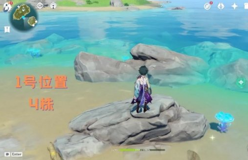 《原神》海灵芝采集路线大全