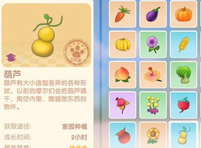 《摩尔庄园手游》葫芦种子种植攻略