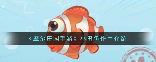《摩尔庄园手游》小丑鱼作用介绍