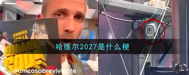 哈维尔2027是什么梗