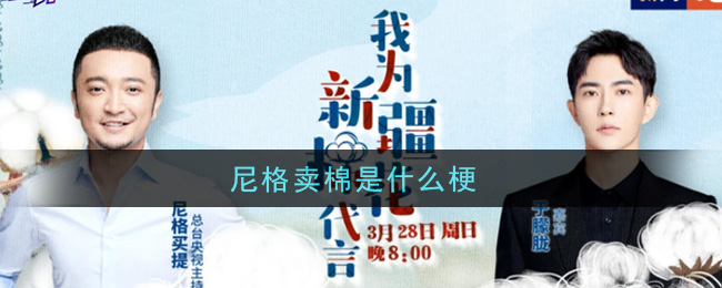 尼格卖棉是什么梗