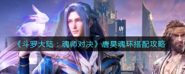 《斗罗大陆：魂师对决》唐昊魂环搭配攻略