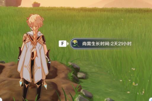 《原神》种植流程一览