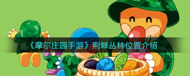 《摩尔庄园手游》荆棘丛林位置介绍