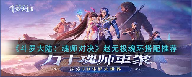 《斗罗大陆：魂师对决》赵无极魂环搭配推荐