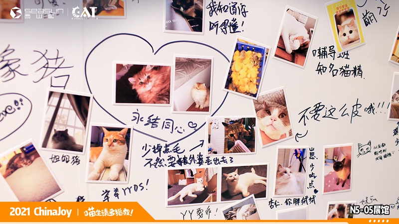 ChinaJoy现场撸猫！西山居《Project Cat》展区人类爱猫行为大赏