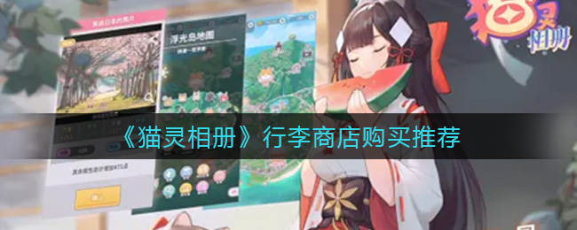 “猫咪灵魂相册：在行李商店挑选好物指南”