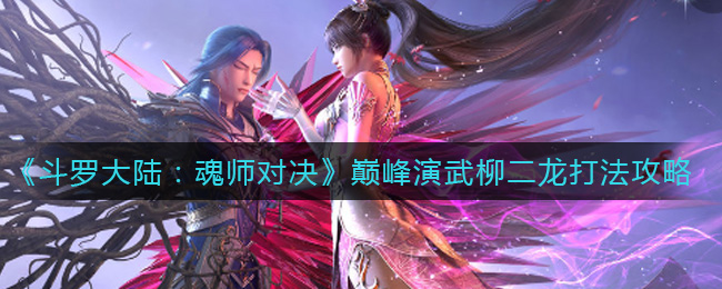 柳二龙巅峰对决斗罗魂师战法揭秘