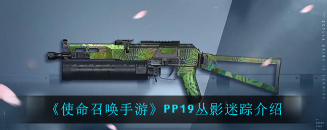 《使命召唤手游》PP19丛影迷踪介绍