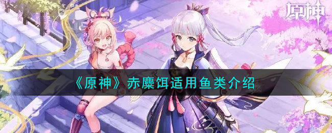 《原神》赤麋饵适用鱼类介绍