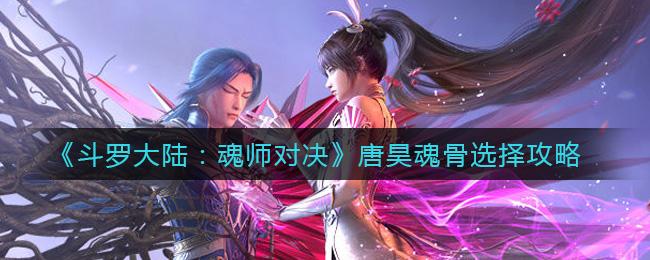 《斗罗大陆：魂师对决》唐昊魂骨选择攻略