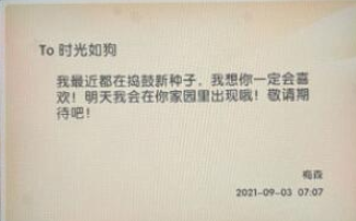 《摩尔庄园》枫树种子获得方法