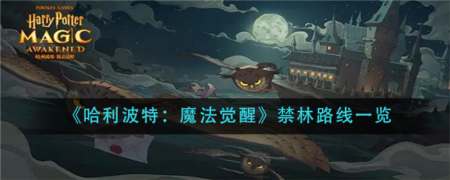 《哈利波特：魔法觉醒》禁林路线一览