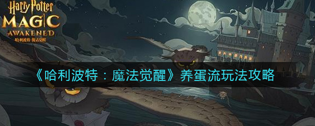 哈利波特魔法觉醒：蛋生养成攻略详解