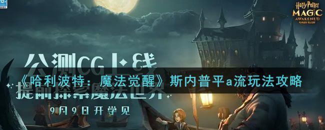 斯内普平A流技巧解析