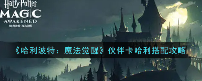 《哈利波特：魔法觉醒》伙伴卡哈利搭配攻略