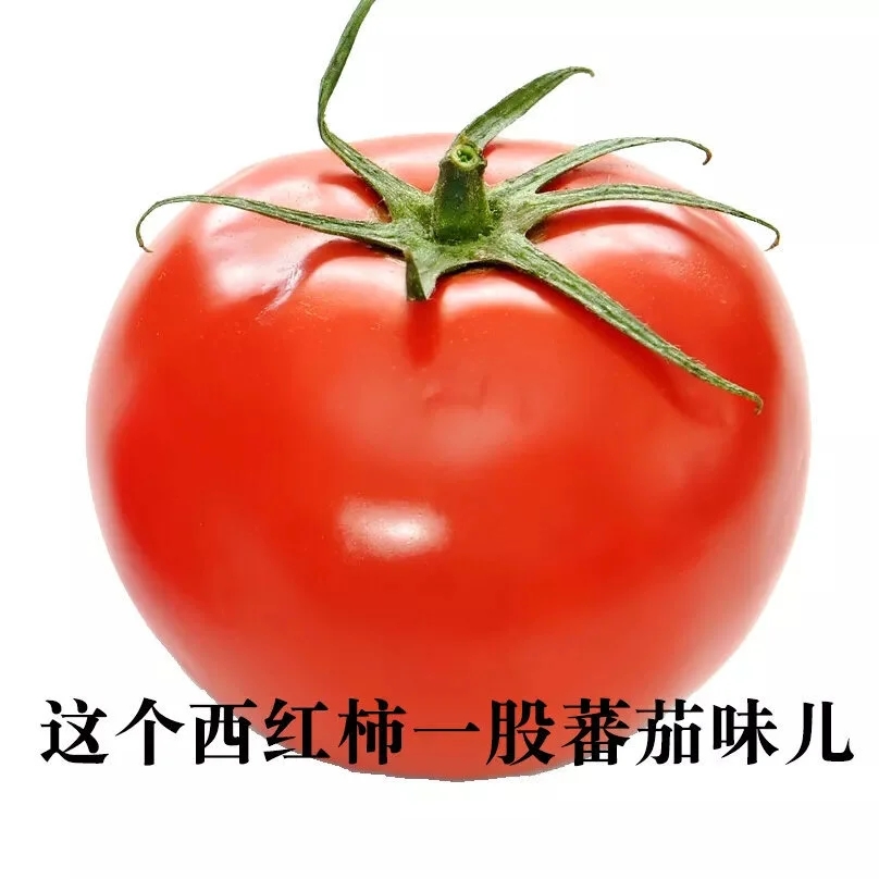 听君一席话如听一席话类似的梗