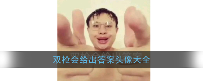 双枪会给出答案头像大汇总,实用头像一网打尽