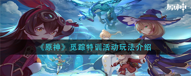 原神寻迹特训攻略揭秘