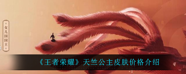 “王者荣耀天竺公主价格查询”