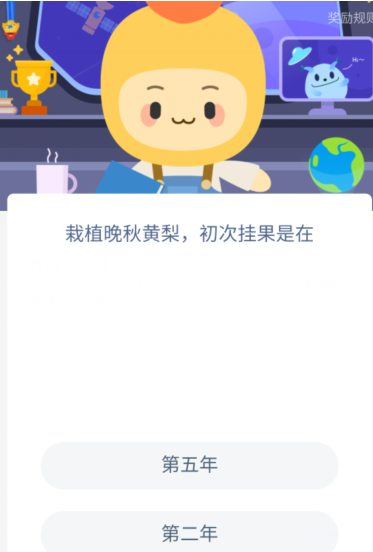 栽植晚秋黄梨,初次挂果是在