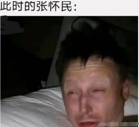 怀民亦未寝是什么梗