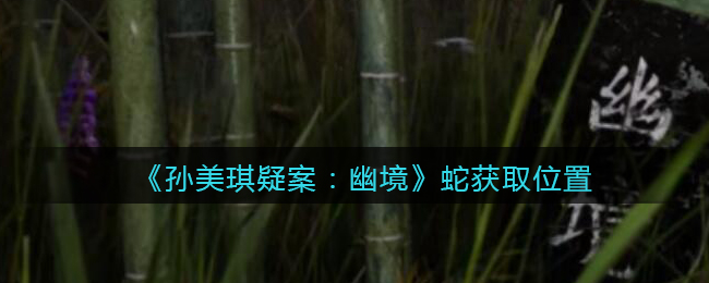 《孙美琪疑案：幽境》五级线索——蛇