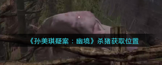 《孙美琪疑案：幽境》五级线索——杀猪