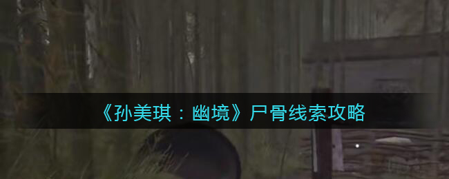 《孙美琪疑案：幽境》五级线索攻略——尸骨