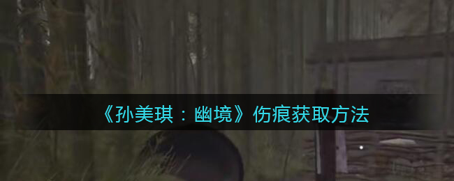 《孙美琪疑案：幽境》五级线索攻略——伤痕